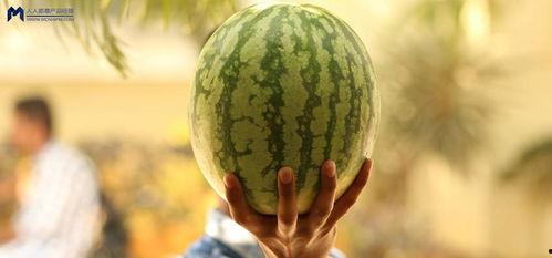 娱乐圈大瓜吃瓜,揭秘明星背后的惊人真相